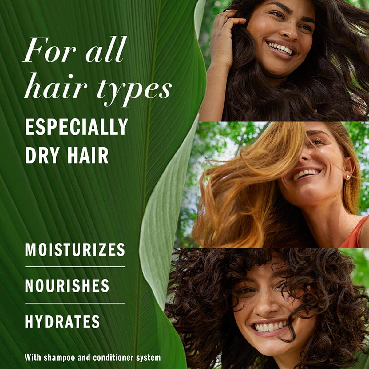 Dr. Healdy Batana Oil for Hair Growth - 100% Raw & Unrefined | All Hair Types, 4.06 Fl Oz