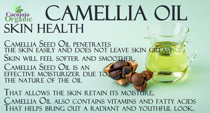 Dr Joe Lab Japanese Camellia Seed Oil — Pure, Cold-Pressed, Non-GMO 16 oz