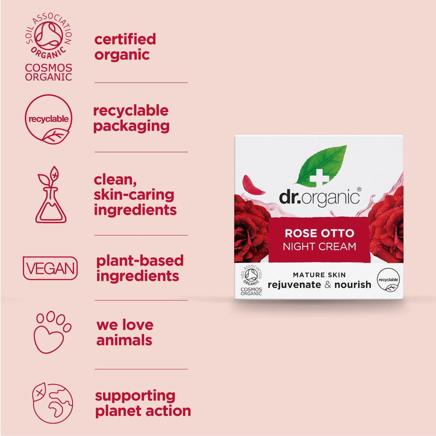 Dr. Organic Rose Otto Night Cream — Organic, Vegan Night Moisturizer for Mature Skin (50 ml)
