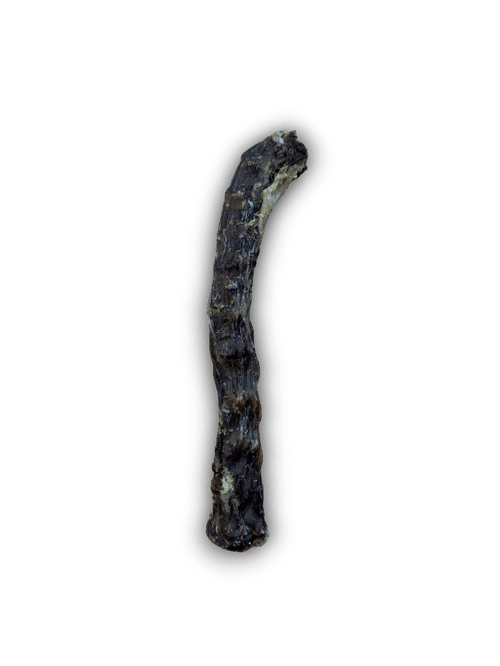 Duck Necks / Large