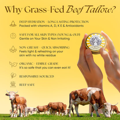 Eat My Face Organic Beef Tallow Sunscreen SPF 30 | Reef Safe, Non Nano Zinc Oxide