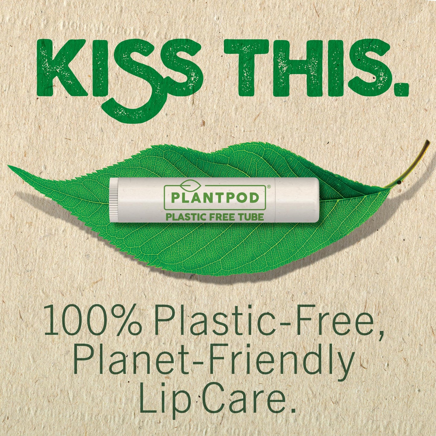 Eco Lips Vegan Lip Balm Sweet Mint – 3 Pack | Plastic-Free Plant Pod, Made in USA