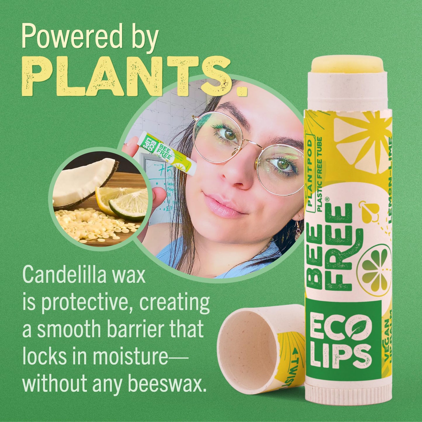 Eco Lips Lemon Lime Lip Balm 3 Pack – Bee Free with Candelilla Wax, Cocoa Butter & Coconut Oil | Plastic-Free Plant Pod Packaging | Made in USA