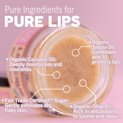Eco Lips Lip Sugar Scrub 4-Pack – Organic Lip Care with Sugar & Coconut Oil