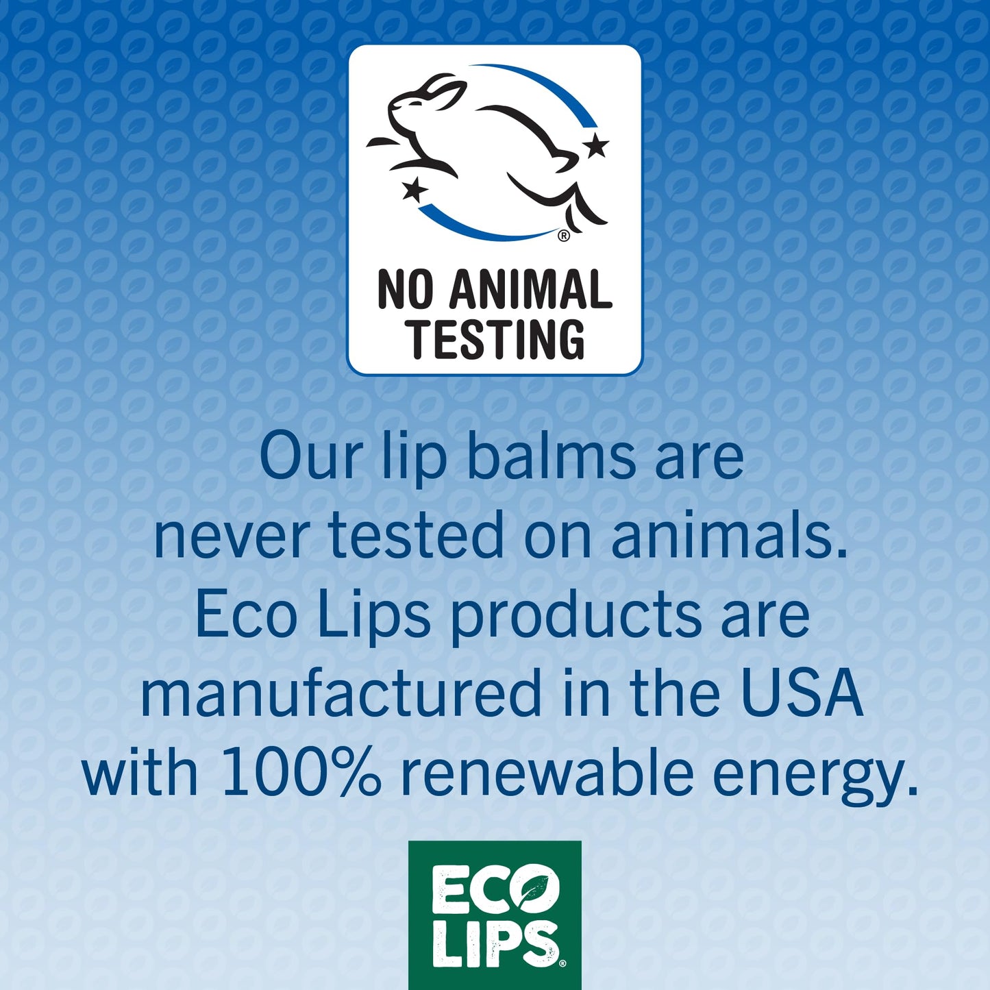 Eco Lips Conditioning Lip Soother – Natural Lip Balm 3-Pack (0.15 oz) | Clean Beauty