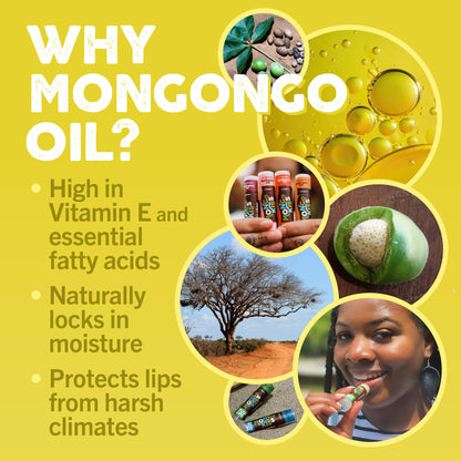 Eco Lips Mongo Kiss 6-Pack Lip Balm - 100% Organic Beeswax & Cocoa Butter with Mongongo Oil | Peppermint, Made in USA