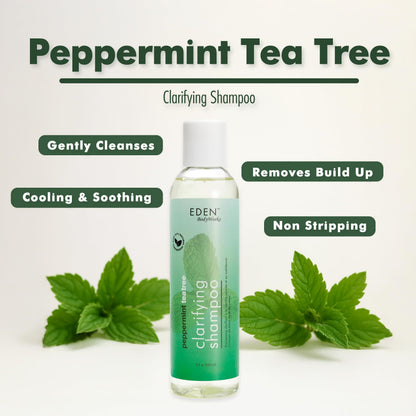 EDEN BodyWorks Peppermint Tea Tree Shampoo | Clarifying for Curly Hair | 8oz