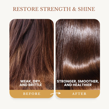 Edenika Botanicals Ginger Root Shampoo with Biotin – Fortifying, Nourishing, Paraben-Free, 16 oz