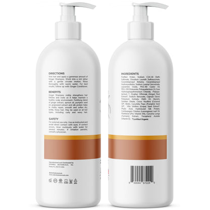 Edenika Botanicals Ginger Root Shampoo with Biotin – Fortifying, Nourishing, Paraben-Free, 16 oz