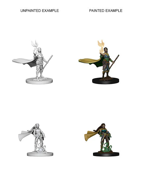 Elf Female Druid: D&D Nolzur's Marvelous Unpainted Miniatures (W4) 100D&D