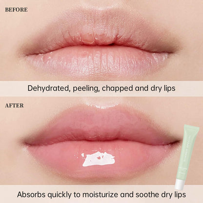 Eudivine Summer Special Lip Butter Gloss – Vanilla, Iced Coffee, Mint, Cake & Guava