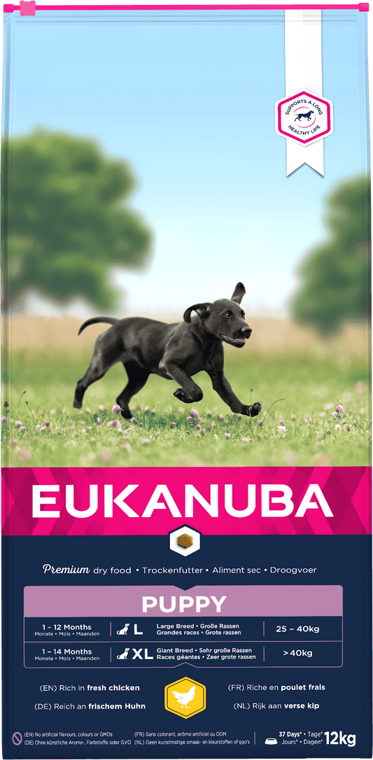 Eukanuba Dog Puppy Large Chicken 3kg