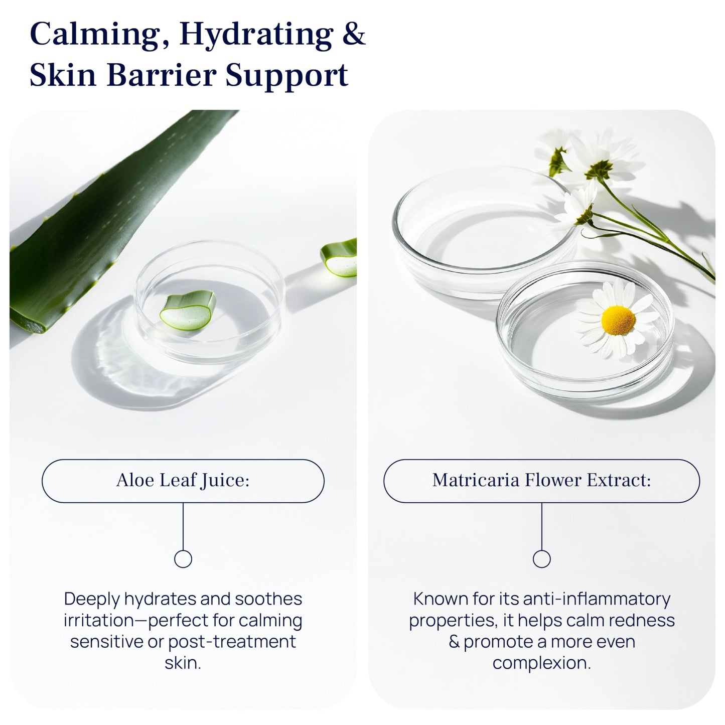 Even Glow by PUREANCE – Organic Vitamin C Serum for Dark Spots on Face & Body
