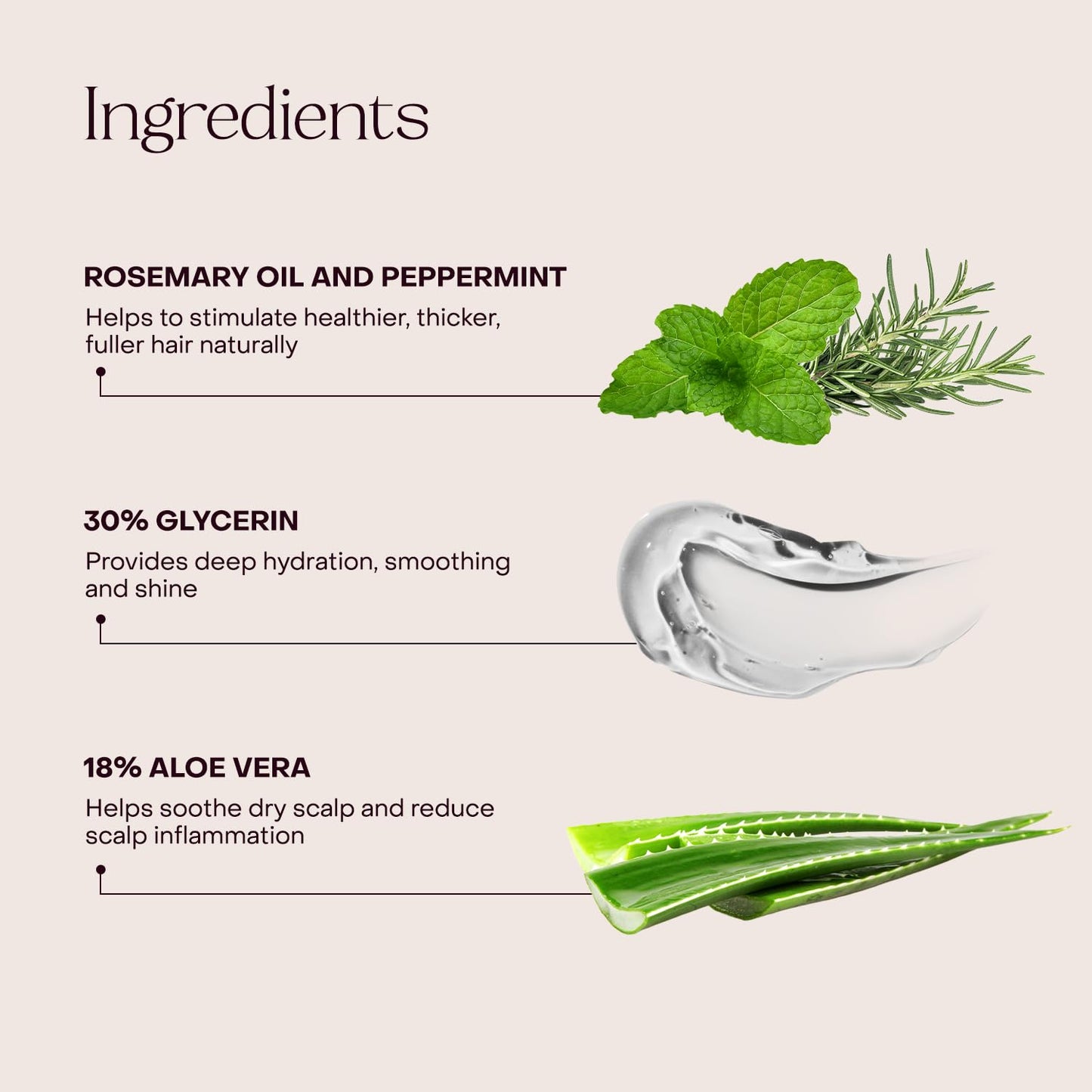 Everist Haircare Essentials Duo – Shampoo & Deep Conditioner for Sensitive Scalp