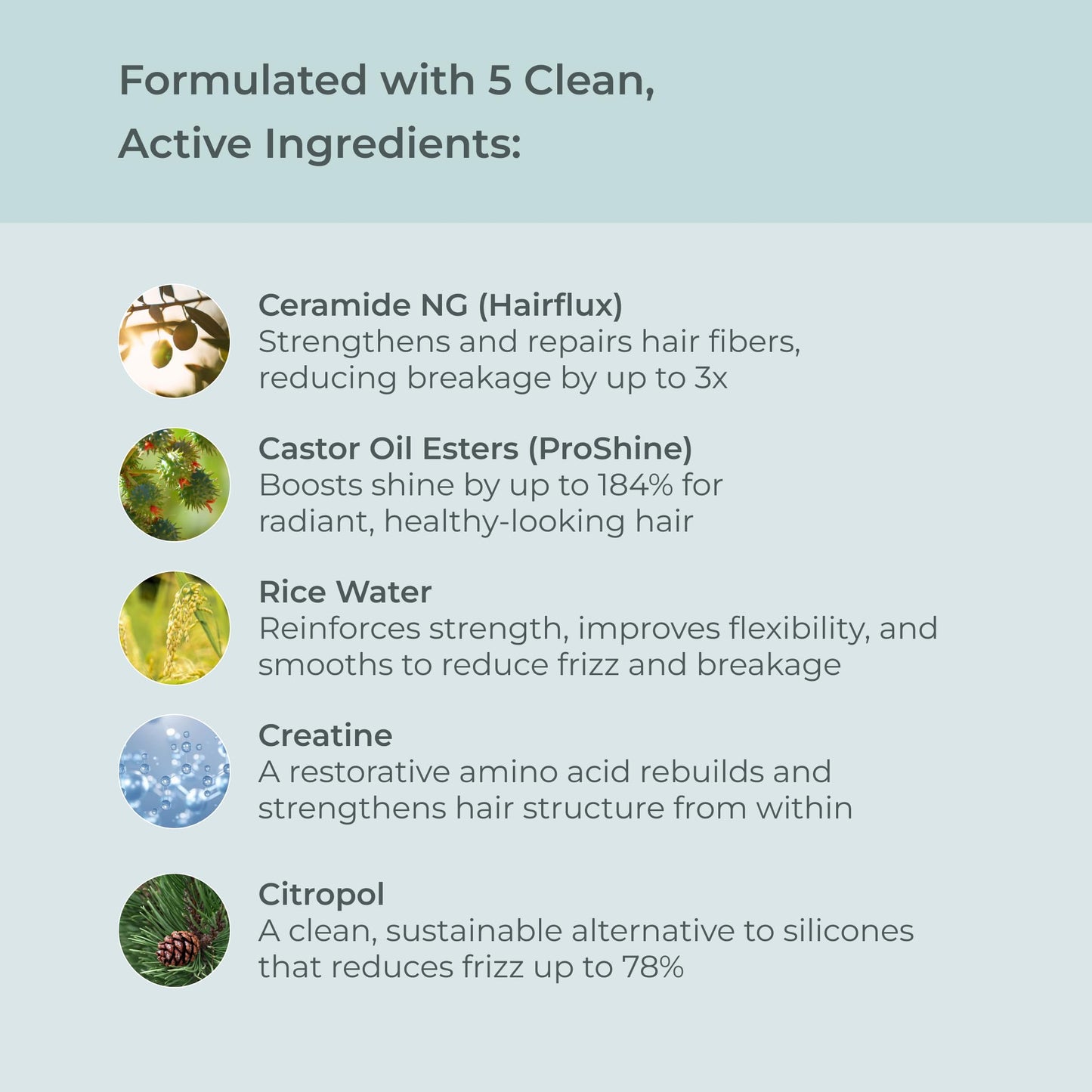 EVOLVh UltraShine Moisture Conditioner – Vegan, Clean Hair Care (8.5 fl oz / 250 mL)