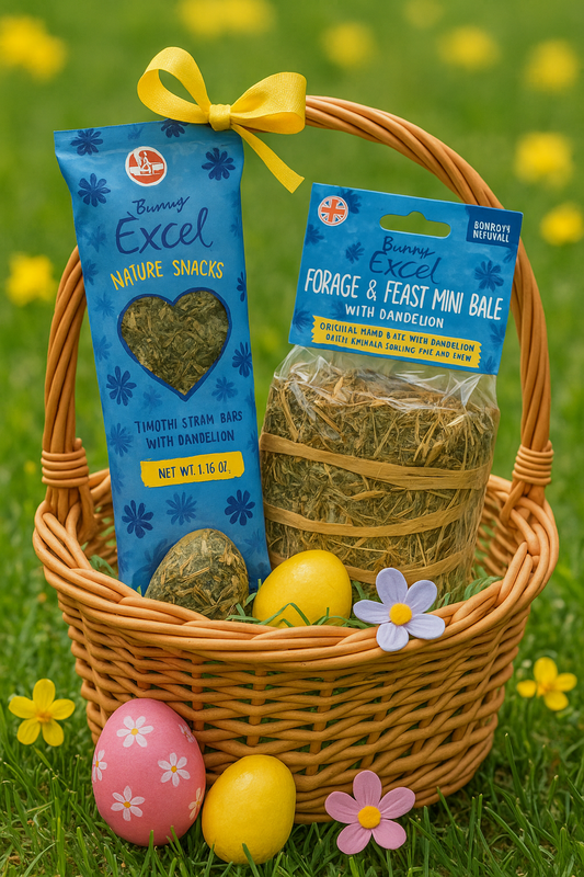 Excel Springtime Cornflower Bundle