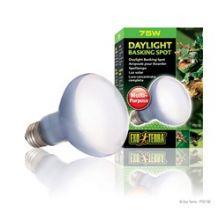 Exo Terra Daylight Basking Spot - 75w, 75w
