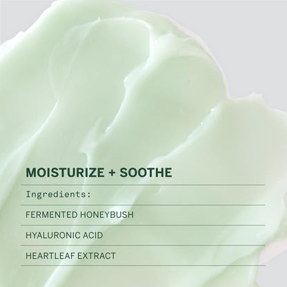 FACETORY Urban Calm Barrier Cream — Hydrating Face Moisturizer with Hyaluronic Acid & Fermented Honeybush