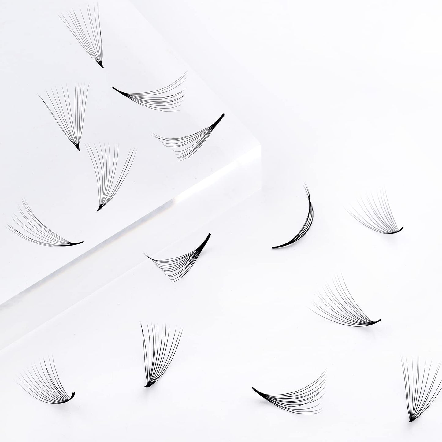 FADLASH 1000ct Premade Lash Fans – D Curl 12D-0.07D, 9–16mm | Budget-Friendly Volume Lashes