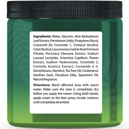 First Botany Athletes Foot Cream with Tea Tree Oil, Aloe & Spearmint – Hydrates & Softens Dry Feet (8 oz)