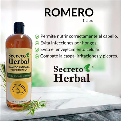 Five Brothers Products Secreto Herbal Hair Growth Shampoo – Horsetail & Rosemary, Revitalized Hair, 33.81 fl oz