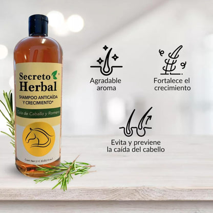 Five Brothers Products Secreto Herbal Hair Growth Shampoo – Horsetail & Rosemary, Revitalized Hair, 33.81 fl oz
