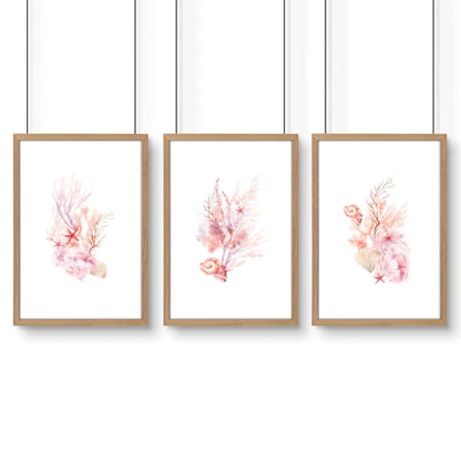 Framed Pictures For The Bathroom | Set of 3 Seashells Wall art Prints