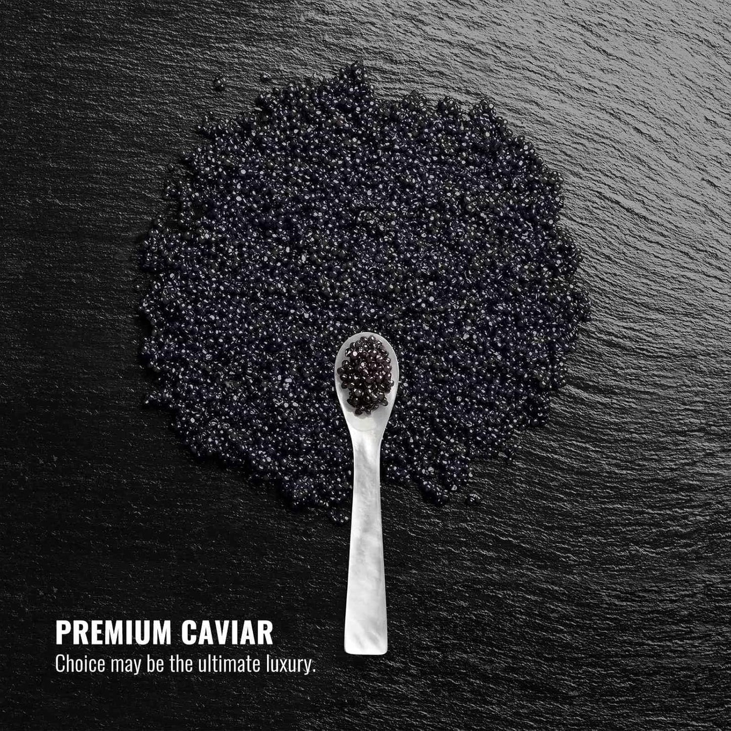 FRENCCIGA Caviar Hair Mask – Replenishing Moisture for Dry Hair with Luxurious Caviar Complex (8.45 oz)