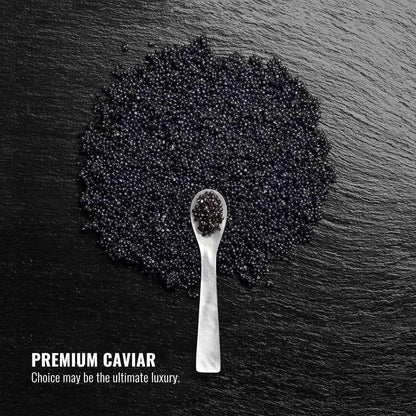 FRENCCIGA Caviar Hair Mask – Replenishing Moisture for Dry Hair with Luxurious Caviar Complex (8.45 oz)