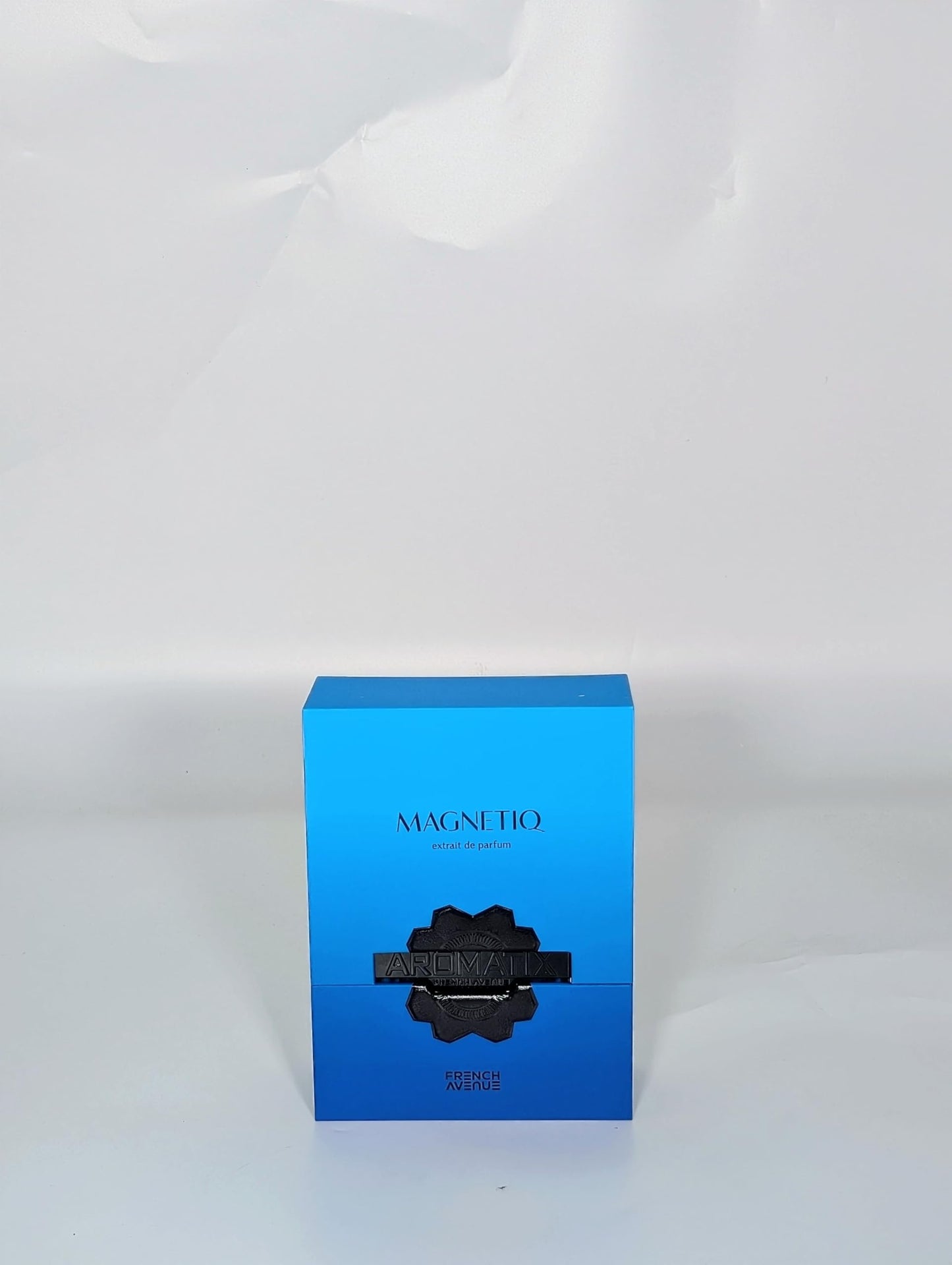 French Avenue Magnetiq Eau De Parfum – Woody Aromatic Unisex Scent, 3.4 fl oz