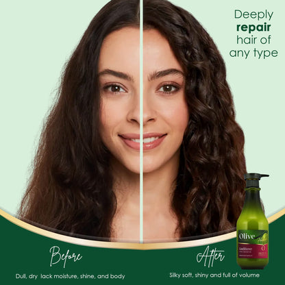 Frulatte Olive Oil Moisturizing Hair Conditioner — Vitamin E, Shea Butter & Oils