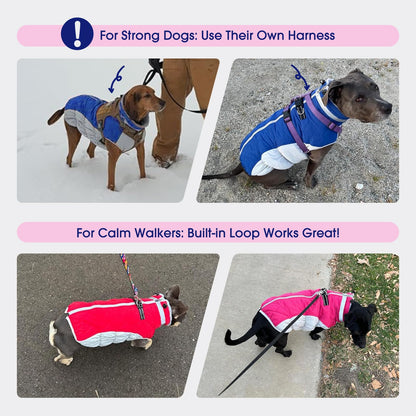 FUAMEY Large Dog Coat – Waterproof Winter Jacket with Built-in Harness