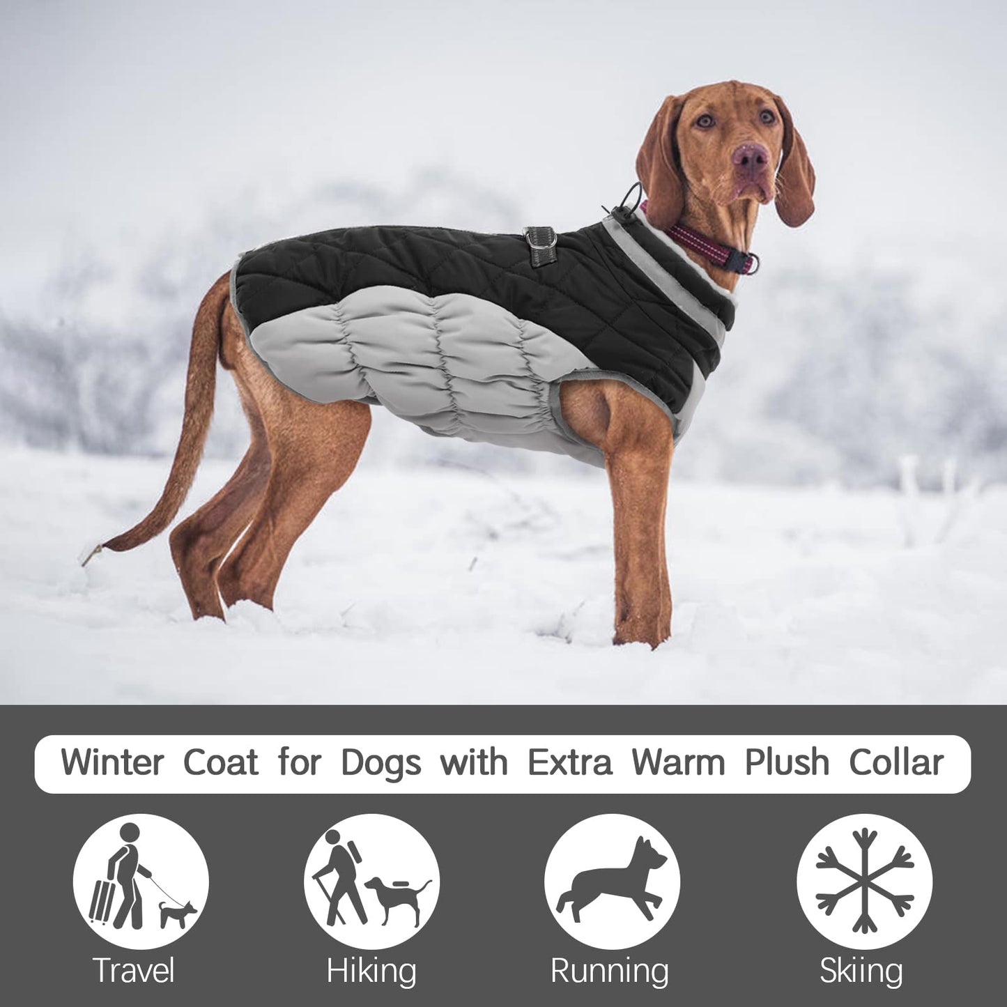 FUAMEY Large Dog Coat – Waterproof Winter Jacket with Built-in Harness