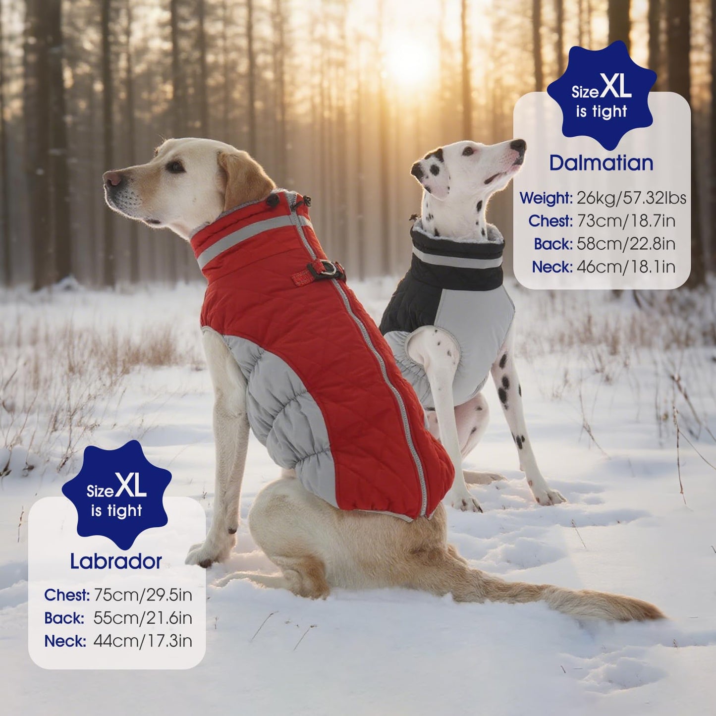 FUAMEY Large Dog Coat – Waterproof Winter Jacket with Built-in Harness