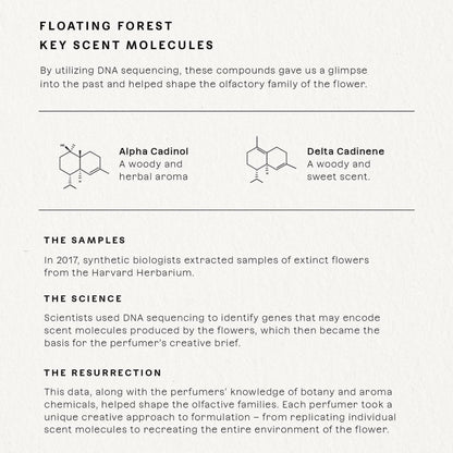 Future Society Floating Forest Perfume - Rich Aquatic Floral EDP with Bergamot, Freesia, Rose & Salted Musk - 50ml