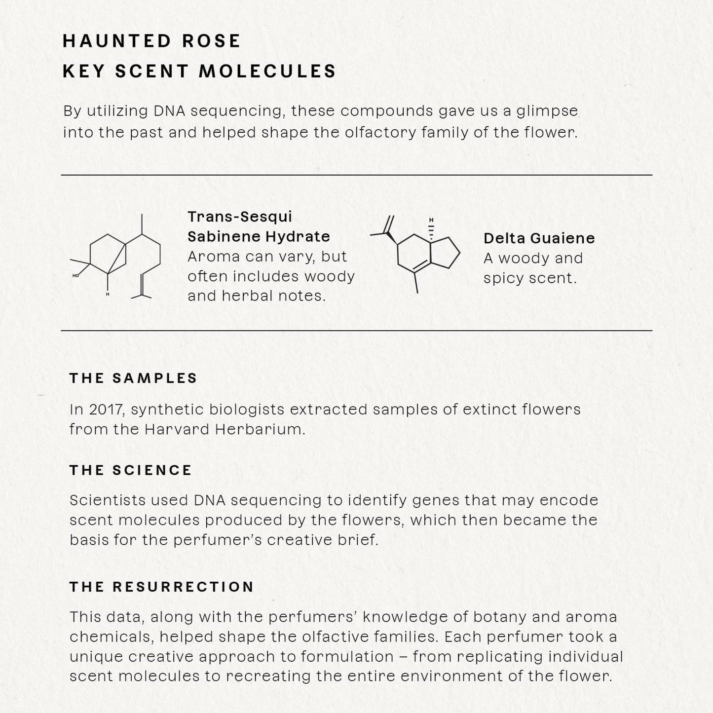Future Society Haunted Rose Perfume – Smoky Floral EDP with Pepper, Rose, Amber & Sandalwood | 50ml