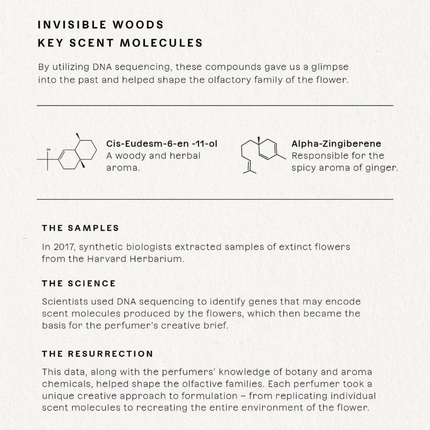 Future Society Invisible Woods Perfume – Woody Floral EDP with Eucalyptus, Grapefruit & Rose | 50ml