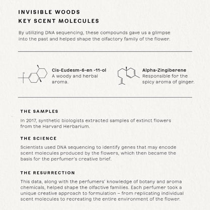 Future Society Invisible Woods Perfume – Woody Floral EDP with Eucalyptus, Grapefruit & Rose | 50ml