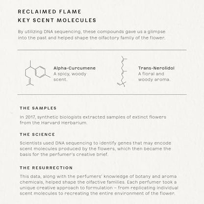 Future Society Reclaimed Flame Perfume – Rich Citrus Eau de Parfum with Bergamot, Grapefruit & Eucalyptus | Unisex 50ml