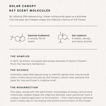 Future Society Solar Canopy Perfume – Rich Fruity Floral EDP with Bergamot, Rose & Vetiver | 50ml