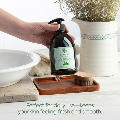 GAIA Oliva Olive Oil Hand Soap Liquid – Luxury Moisturizing Soap with Green Tea Scent, 16.9 FL OZ Bottle (Pack of 1)