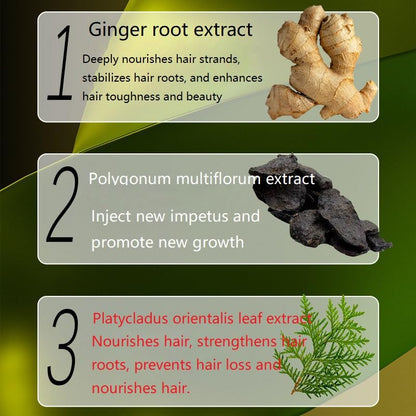 Ginaday 2 Box Ginger Plant Extract Shampoo for Hair Growth & Thinning Hair Support