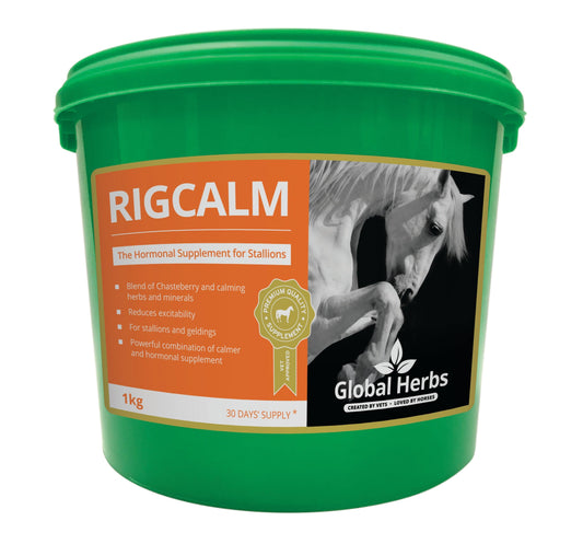 Global H Rig Calm