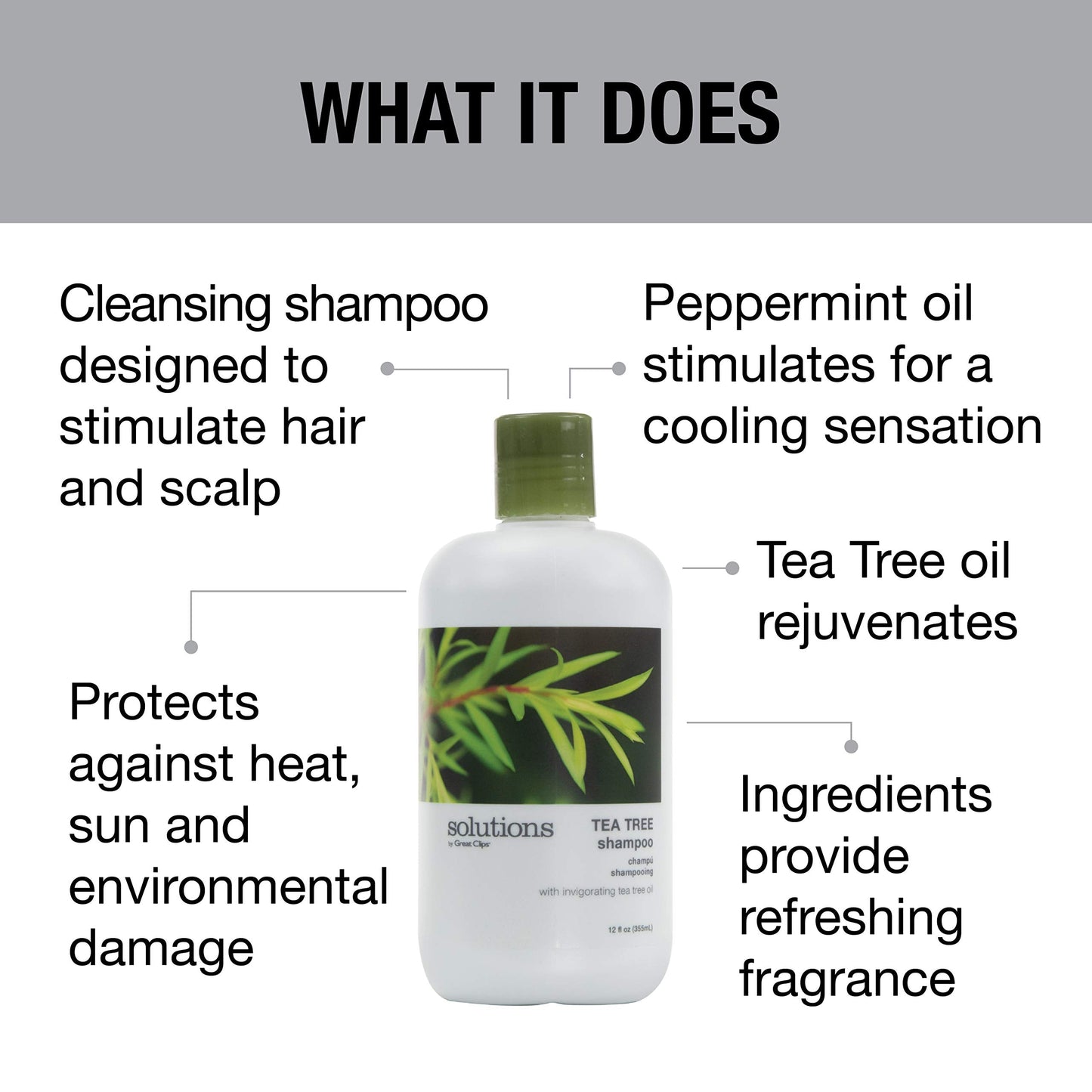 GREAT CLIPS Tea Tree Shampoo 12 fl oz | Hydrates, Invigorates Scalp for All Hair Types