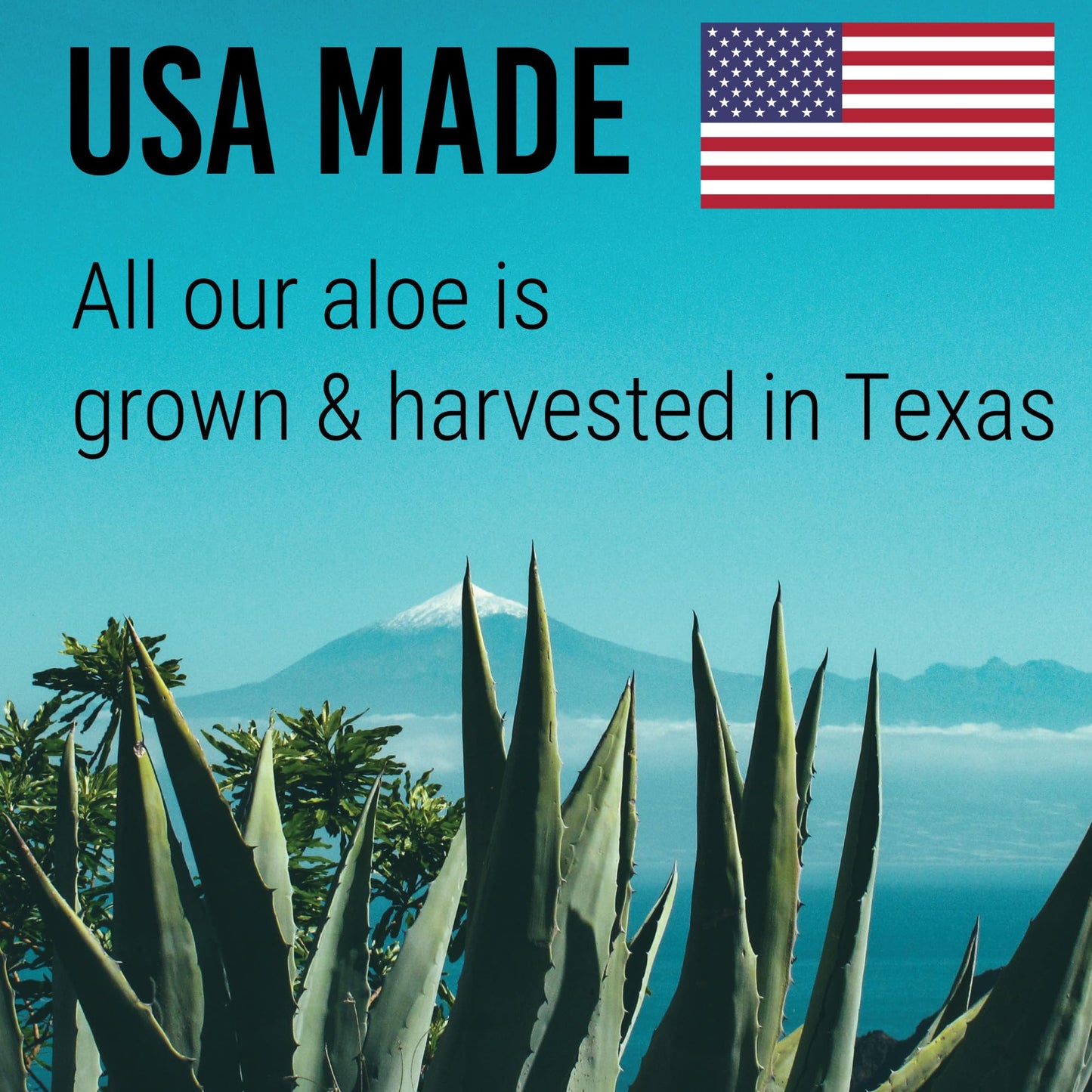 Green Leaf Naturals Amazing Aloe Vera Gel — 8oz, 100% Pure, Freshly Cut, Unscented