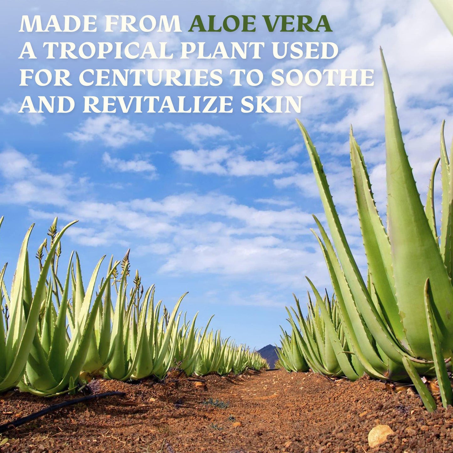 Green Leaf Naturals Amazing Aloe Vera Gel – 12oz Pure, Freshly Cut, Unscented