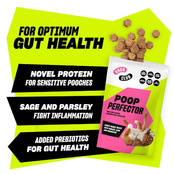 Grub Club Poop Perfector Dog Treats 100g