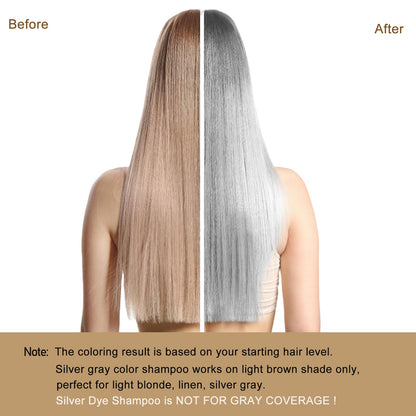 GURKOOYD Silver Gray Hair Dye Shampoo | Instant Color in Minutes, Long-Lasting Silver Hair