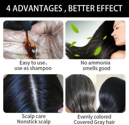 Hair Dye Color Shampoo – 7 Colors Available, 500mL Each (Purple) | Instant 5-Minute Color