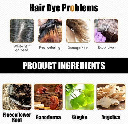 Hair Dye Color Shampoo – 7 Colors Available, 500mL Each (Purple) | Instant 5-Minute Color